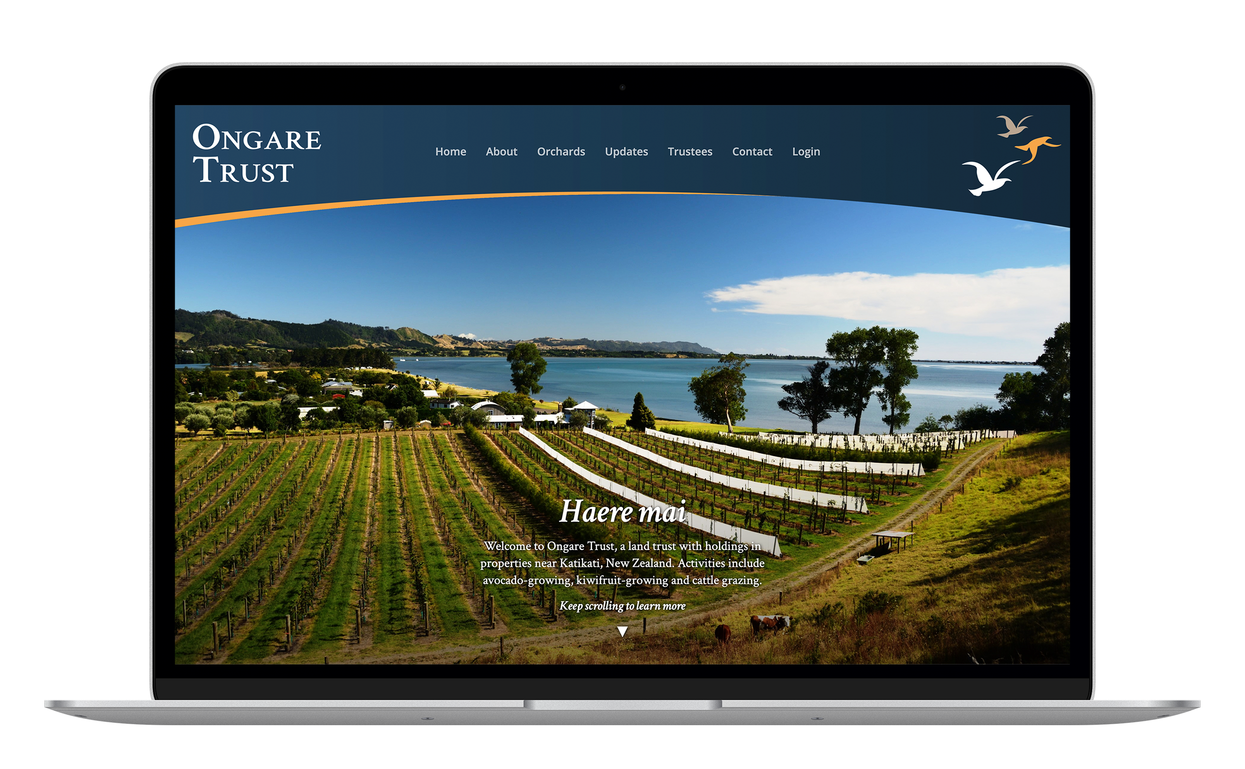 A preview of the Ongare Trust website built by Sam Boggiss.